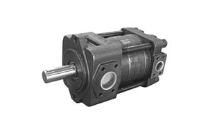 Internal Gear Pump